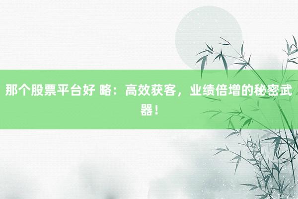 那个股票平台好 略：高效获客，业绩倍增的秘密武器！
