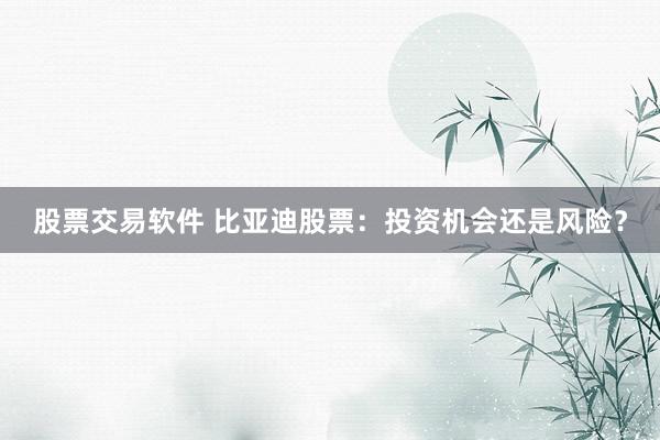 股票交易软件 比亚迪股票：投资机会还是风险？