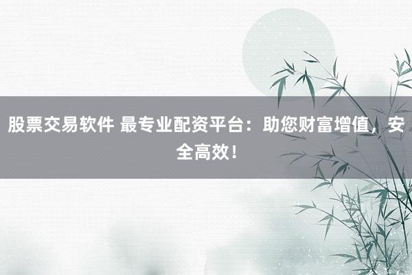 股票交易软件 最专业配资平台：助您财富增值，安全高效！
