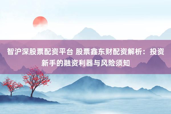 智沪深股票配资平台 股票鑫东财配资解析：投资新手的融资利器与风险须知
