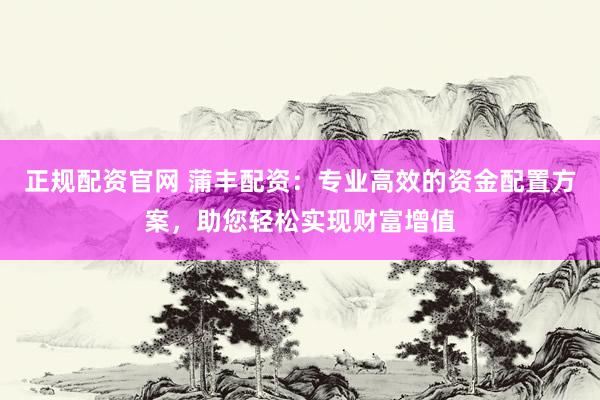 正规配资官网 蒲丰配资：专业高效的资金配置方案，助您轻松实现财富增值