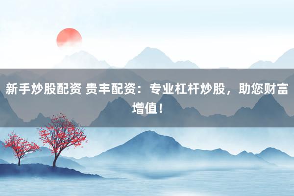新手炒股配资 贵丰配资：专业杠杆炒股，助您财富增值！