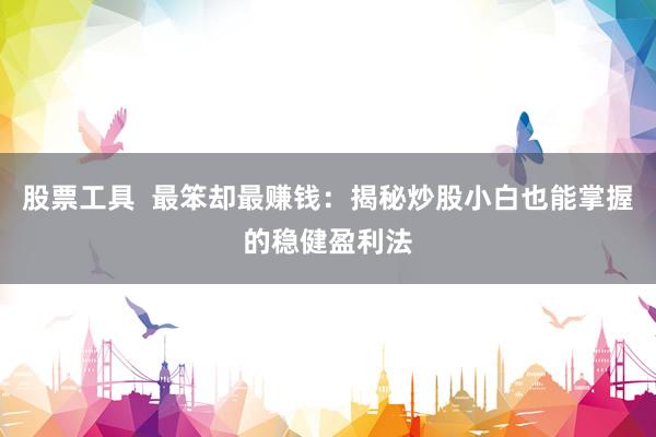 股票工具  最笨却最赚钱：揭秘炒股小白也能掌握的稳健盈利法