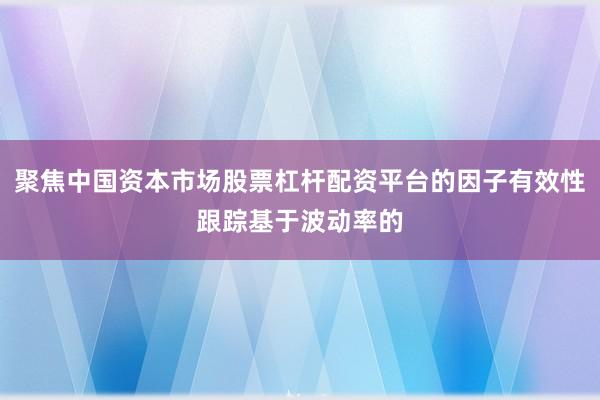聚焦中国资本市场股票杠杆配资平台的因子有效性跟踪基于波动率的