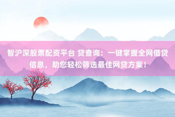 智沪深股票配资平台 贷查询：一键掌握全网借贷信息，助您轻松筛选最佳网贷方案！