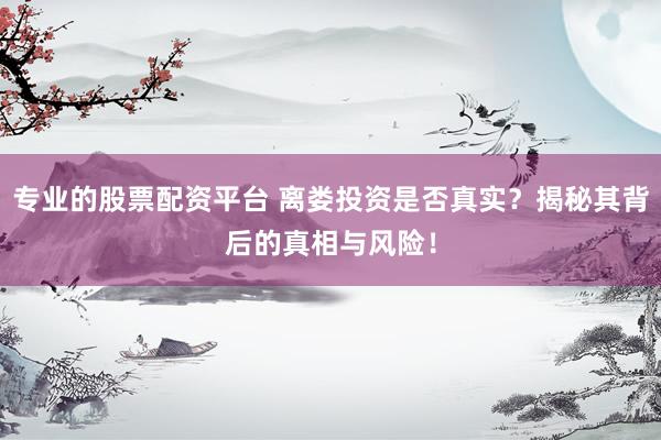 专业的股票配资平台 离娄投资是否真实？揭秘其背后的真相与风险！