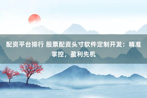配资平台排行 股票配资头寸软件定制开发：精准掌控，盈利先机
