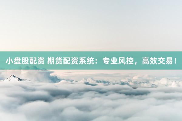 小盘股配资 期货配资系统：专业风控，高效交易！
